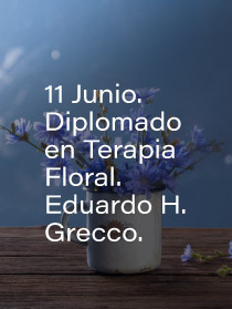 diplo-floral-11junio